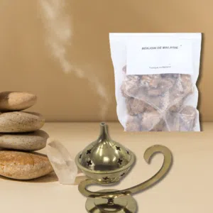 Benjoin de Malaisie en grains