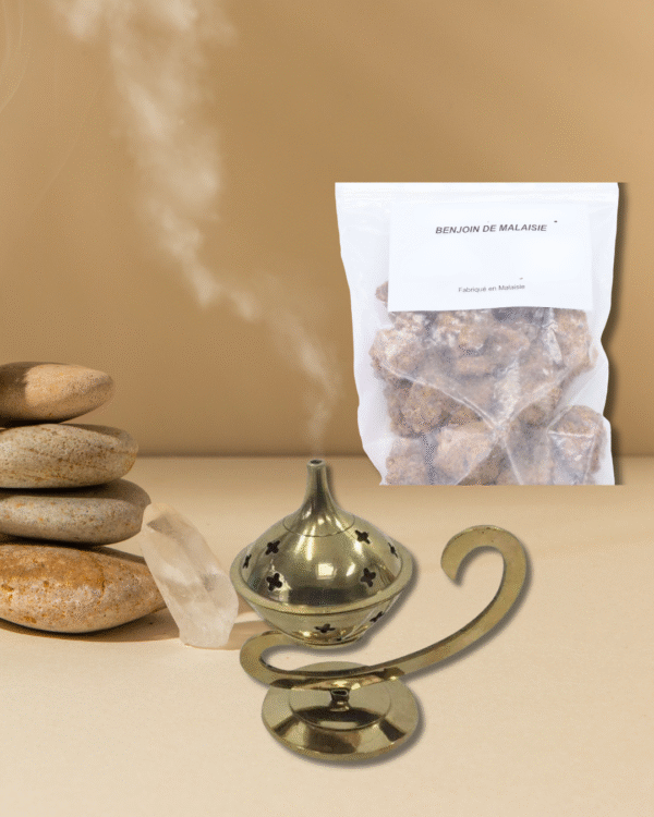 Benjoin de Malaisie en grains